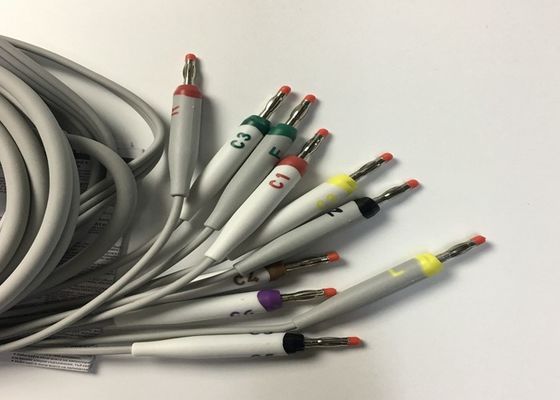 10 Cable di sostituzione per ECG a piombo GE2104726-001 Norma UE