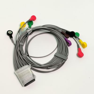 L'originale Holter dinamico ECG filo a piombo 12 pulsante a piombo tipo REF EL10NISH01 IPN 01.57.471450