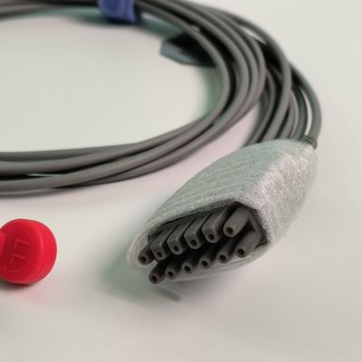 IT20 ECG Telemetria filo a piombo cinque piombo stile di guinzaglio americano standard REF EL05DASY1