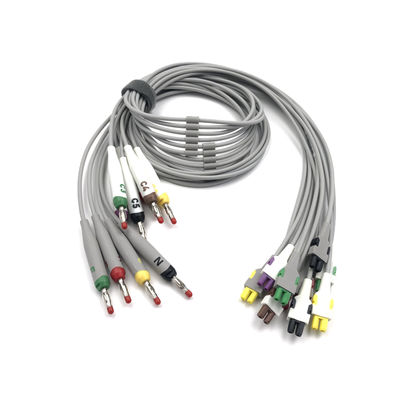 2104724-002 ECG Cavi conduttori e cavi tronco 10 condotti